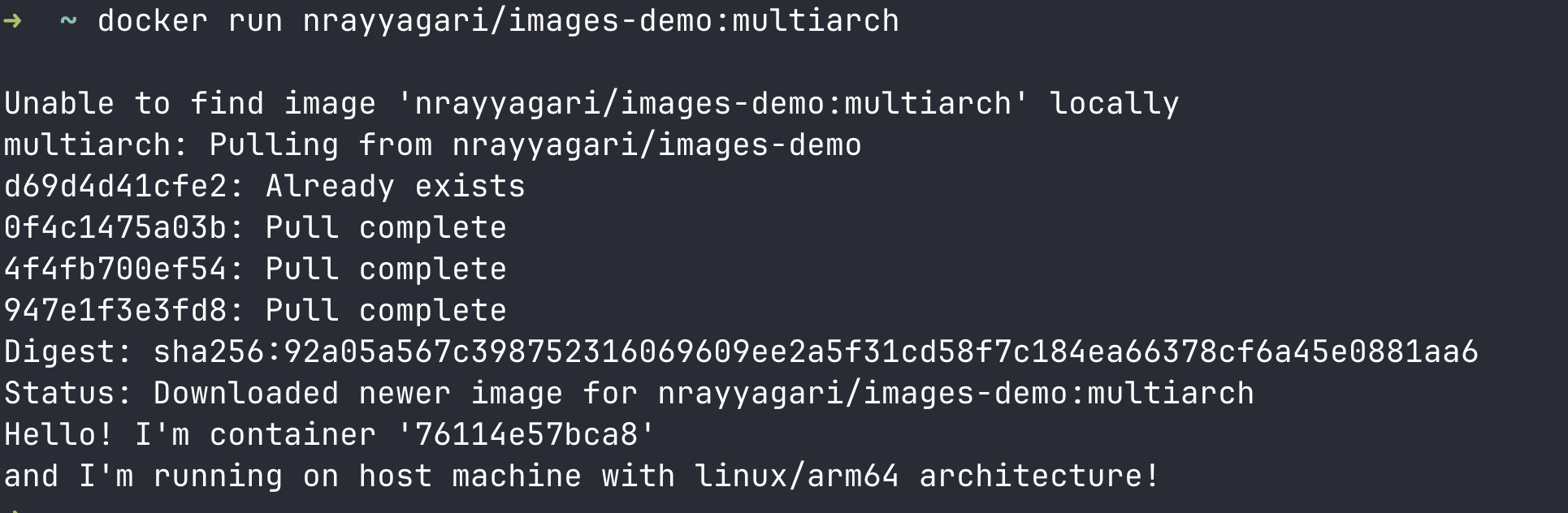 ARM Execution Output