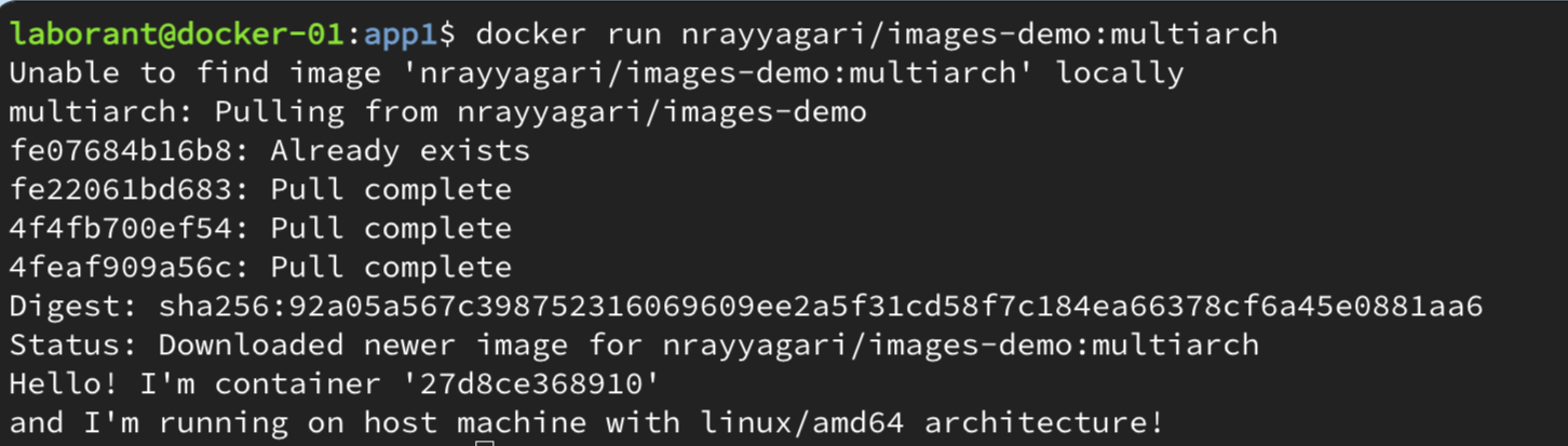 x86 Execution Output